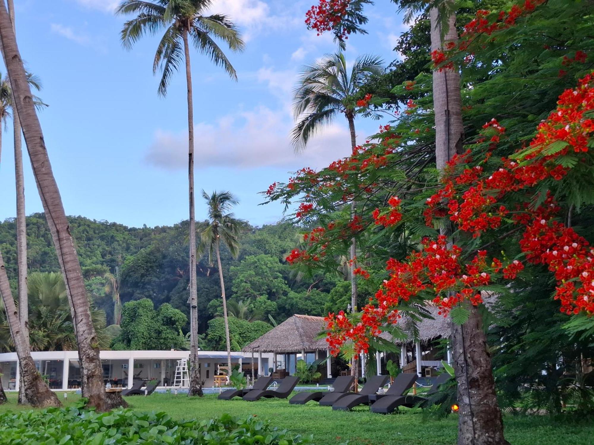 Bebeladan Beach Resort, In The Last Indigenous Corner 엘니도 외부 사진